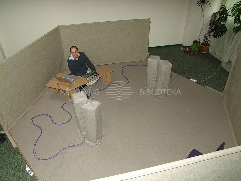 Instaliacija „Garso korys“ 