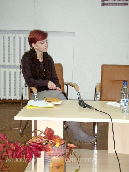 PA201102.JPG