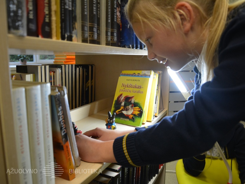 Kūrybinės stop kadro animacijos kūrimo dirbtuvės